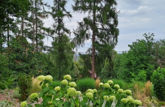 Tölgyes Villa Kőszeg